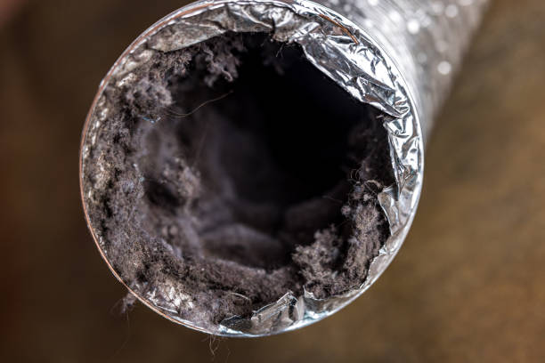 Best Dryer Vent Cleaning Services  in Thompsons Station, TN